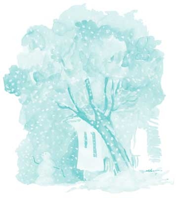 snow